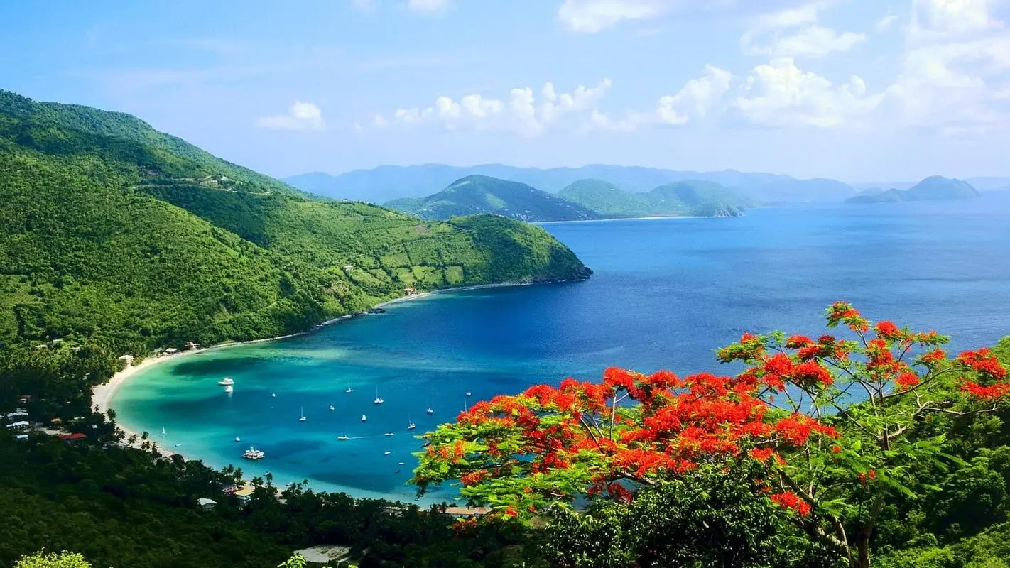 高效环保